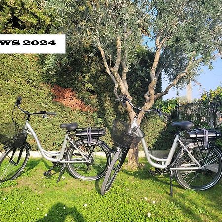 Garda View - Nuovo Appartamento Con Solarium Vista Lago Eksteriør billede
