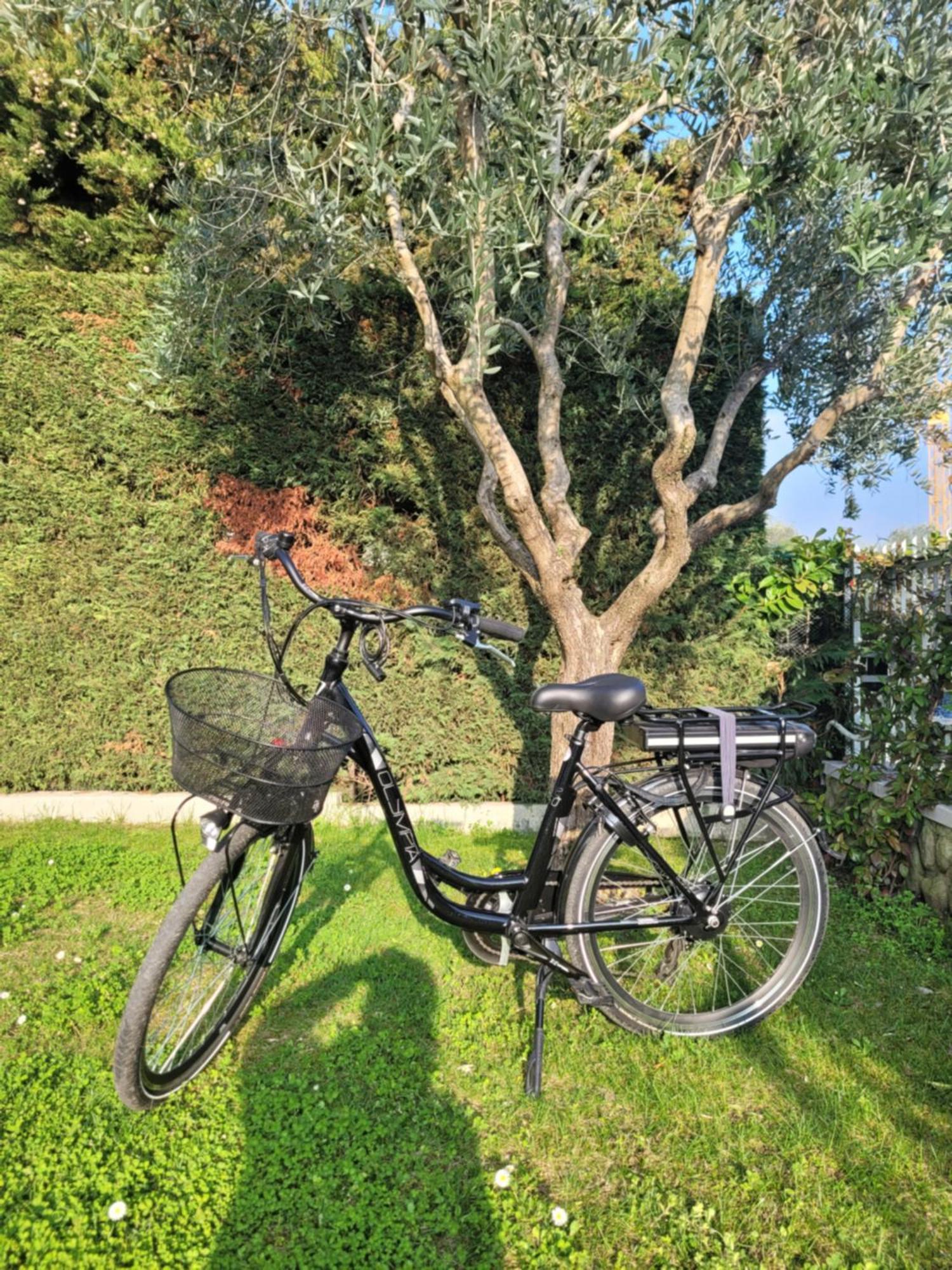 Garda View - Nuovo Appartamento Con Solarium Vista Lago Eksteriør billede